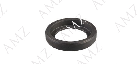 SEAL,RING SUPPORT