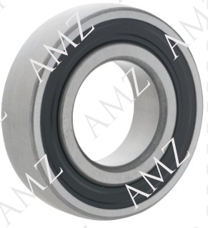 RULMAN SKF
