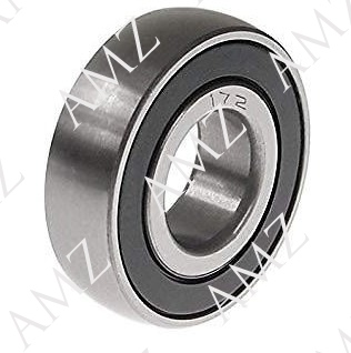 SKF RULMAN CS209