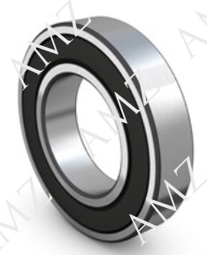 6020 2RS RULMAN SKF
