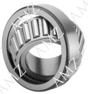 RULMAN SKF