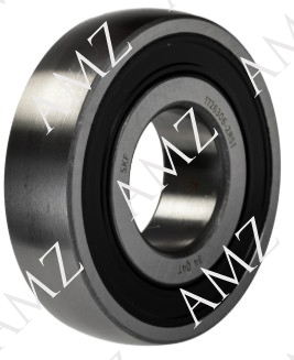 RULMAN SKF