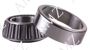 RULMAN SKF
