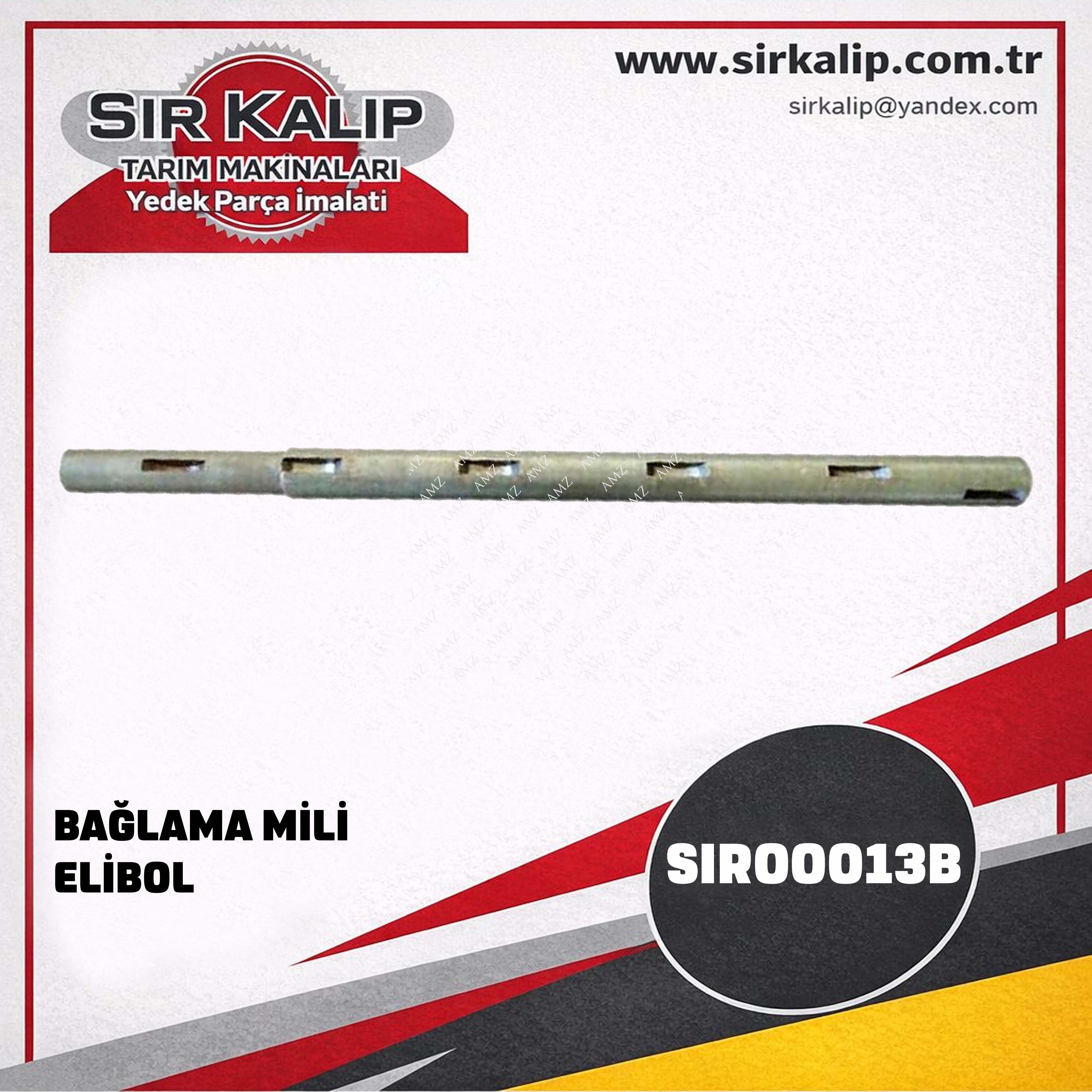 BAĞLAMA MİLİ - ELİBOL